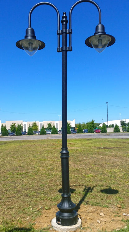 Double Fixture Dark Sky Municipal Quality Street Light Package - LED