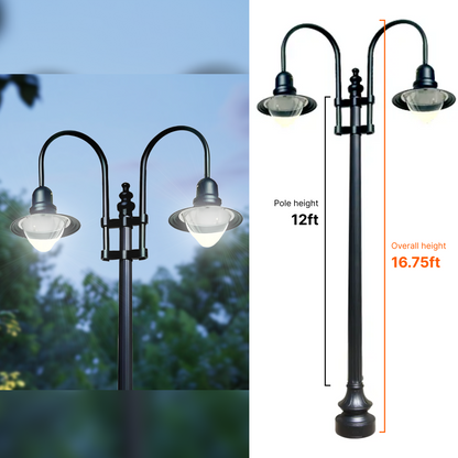 Double Fixture Dark Sky Municipal Quality LED Street Light Fixture, Pole, and Pedestal Combo With 12 Feet Pole
