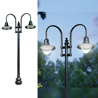 Double Fixture Dark Sky Municipal Quality Street Light Package - LED