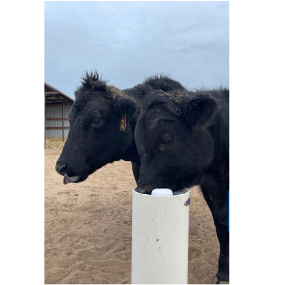 Timeless Fence Drinking Post Waterers 7ft
