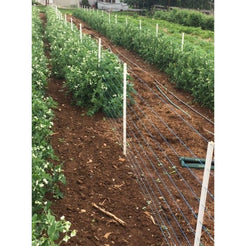 Timeless Fence Rigid PVC Pea Posts Pack of 25