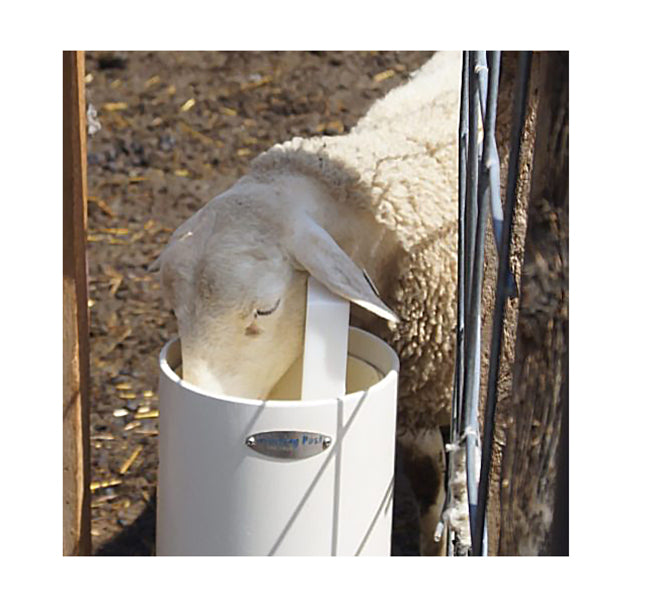 Timeless Fence Drinking Post Waterers 6ft