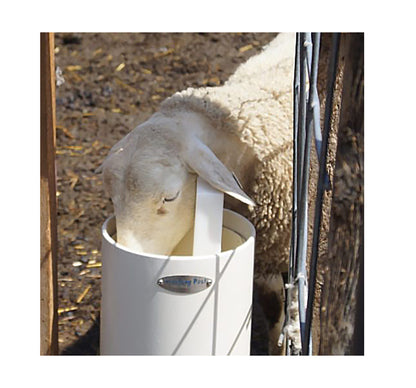 Timeless Fence Drinking Post Waterers 4ft